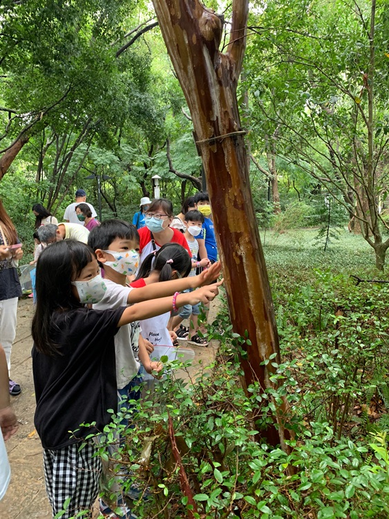 幼兒園：與植物做朋友(9/4)-圖片40
