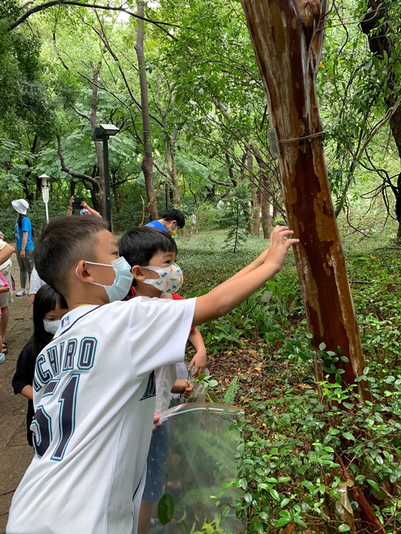 幼兒園：與植物做朋友(9/4)-圖片41