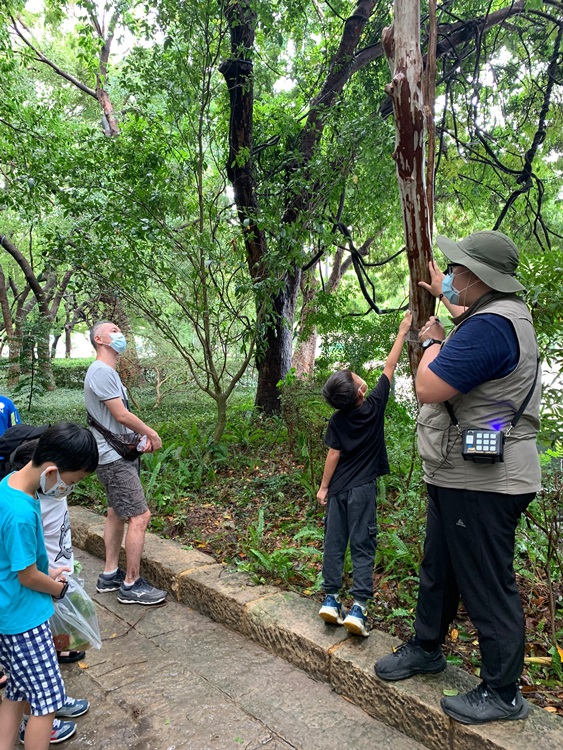 幼兒園：與植物做朋友(9/4)-圖片42