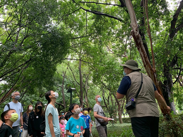 幼兒園：與植物做朋友(9/4)-圖片44
