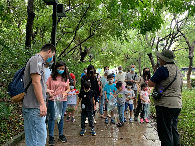 幼兒園：與植物做朋友(9/4)-圖片48