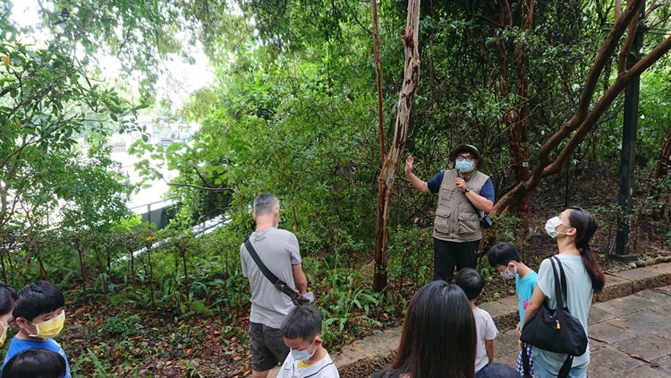 幼兒園：與植物做朋友(9/4)-圖片71