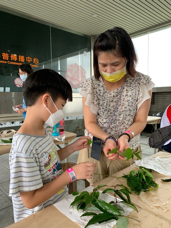 幼兒園：與植物做朋友(9/4)-圖片146