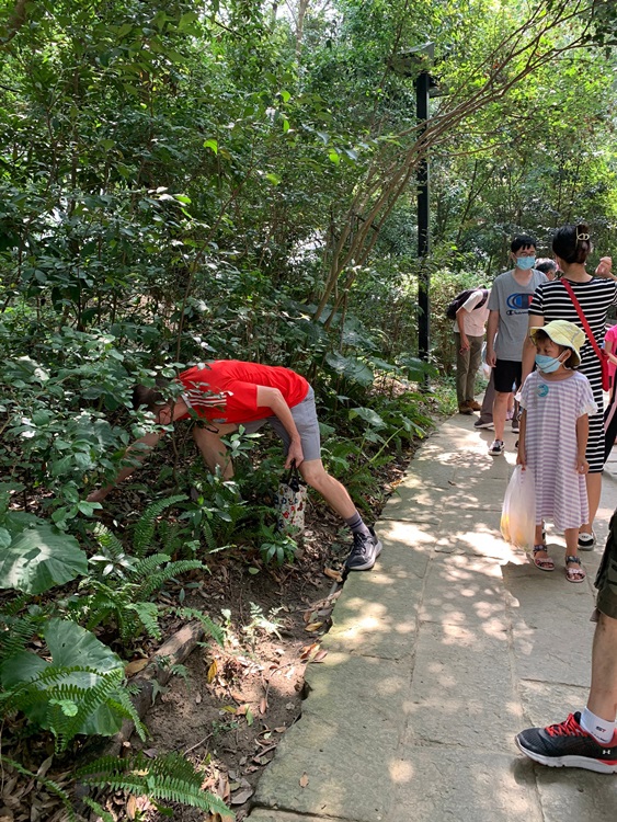 幼兒園：與植物做朋友(10/2)-圖片3
