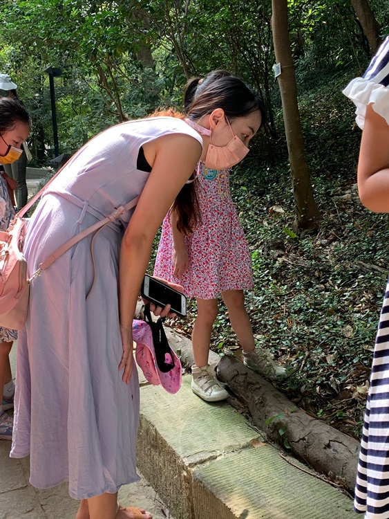 幼兒園：與植物做朋友(10/2)-圖片4