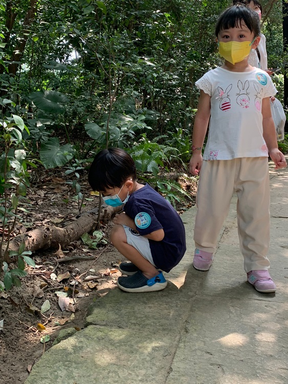 幼兒園：與植物做朋友(10/2)-圖片5
