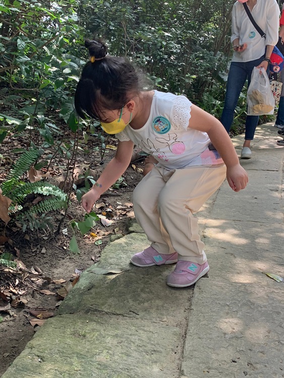 幼兒園：與植物做朋友(10/2)-圖片6