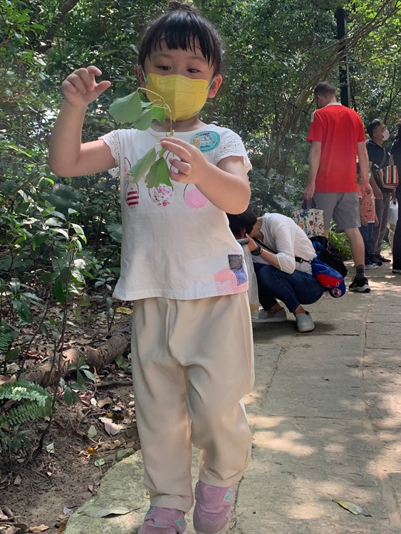幼兒園：與植物做朋友(10/2)-圖片7