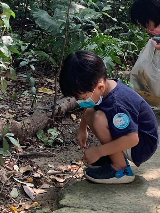 幼兒園：與植物做朋友(10/2)-圖片8