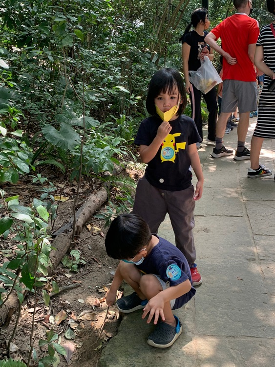 幼兒園：與植物做朋友(10/2)-圖片9