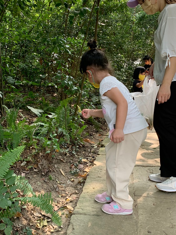 幼兒園：與植物做朋友(10/2)-圖片10