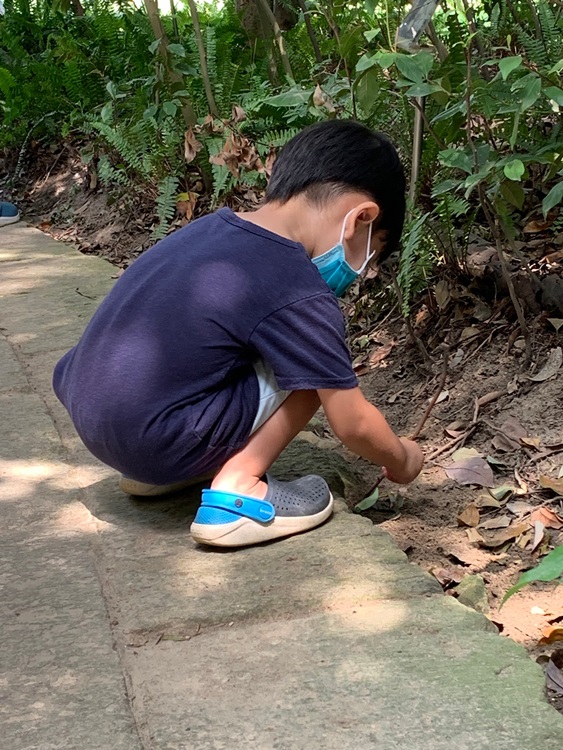 幼兒園：與植物做朋友(10/2)-圖片14