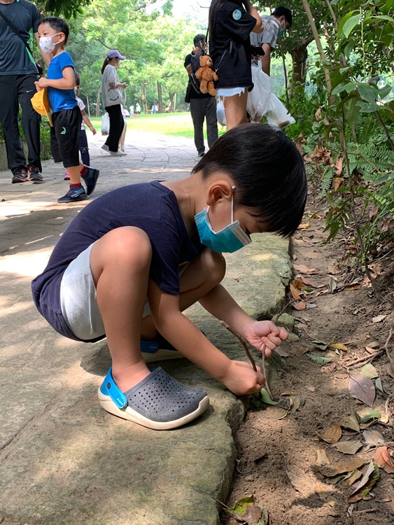 幼兒園：與植物做朋友(10/2)-圖片15