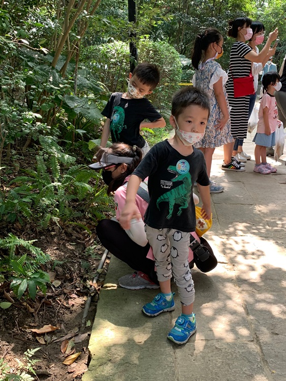 幼兒園：與植物做朋友(10/2)-圖片17