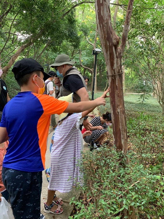 幼兒園：與植物做朋友(10/2)-圖片28
