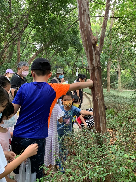 幼兒園：與植物做朋友(10/2)-圖片29