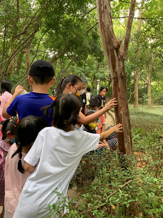 幼兒園：與植物做朋友(10/2)-圖片30