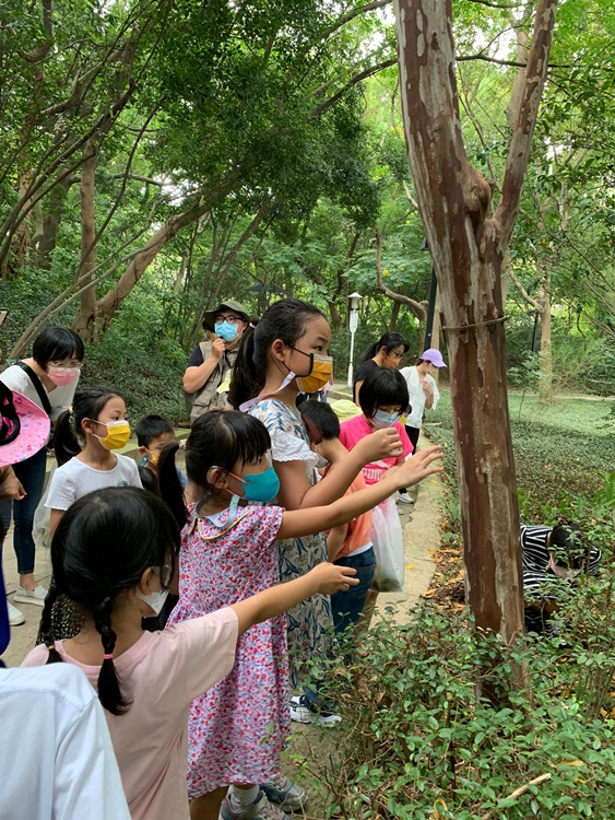 幼兒園：與植物做朋友(10/2)-圖片31