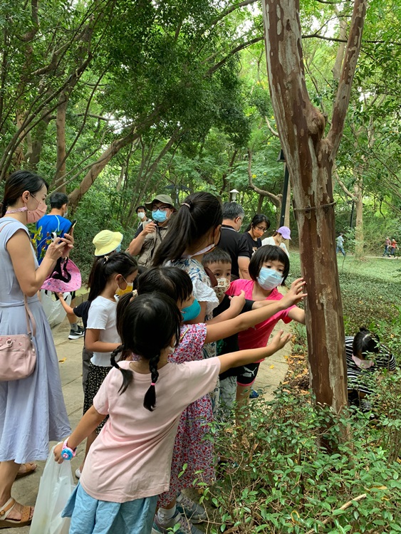 幼兒園：與植物做朋友(10/2)-圖片32