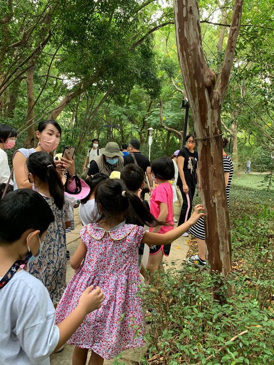 幼兒園：與植物做朋友(10/2)-圖片33