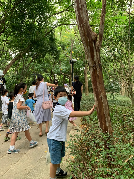幼兒園：與植物做朋友(10/2)-圖片36