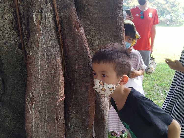 幼兒園：與植物做朋友(10/2)-圖片90