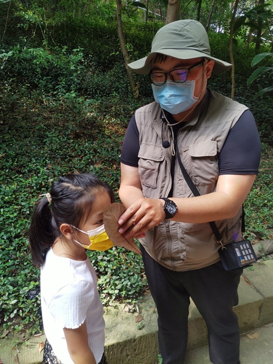 幼兒園：與植物做朋友(10/2)-圖片112