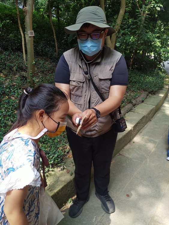幼兒園：與植物做朋友(10/2)-圖片114