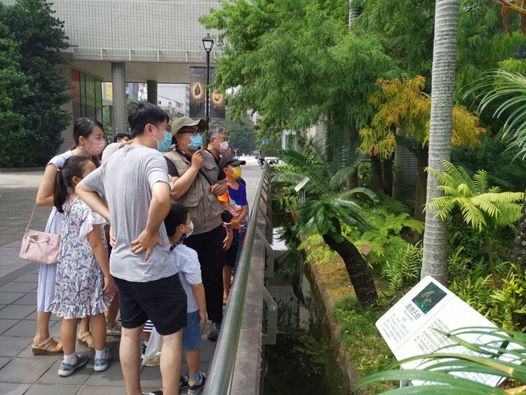 幼兒園：與植物做朋友(10/2)-圖片123