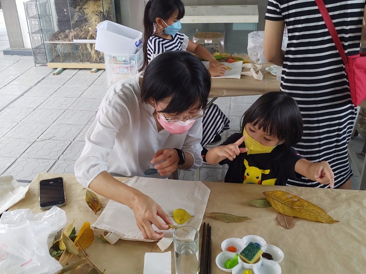 幼兒園：與植物做朋友(10/2)-圖片124