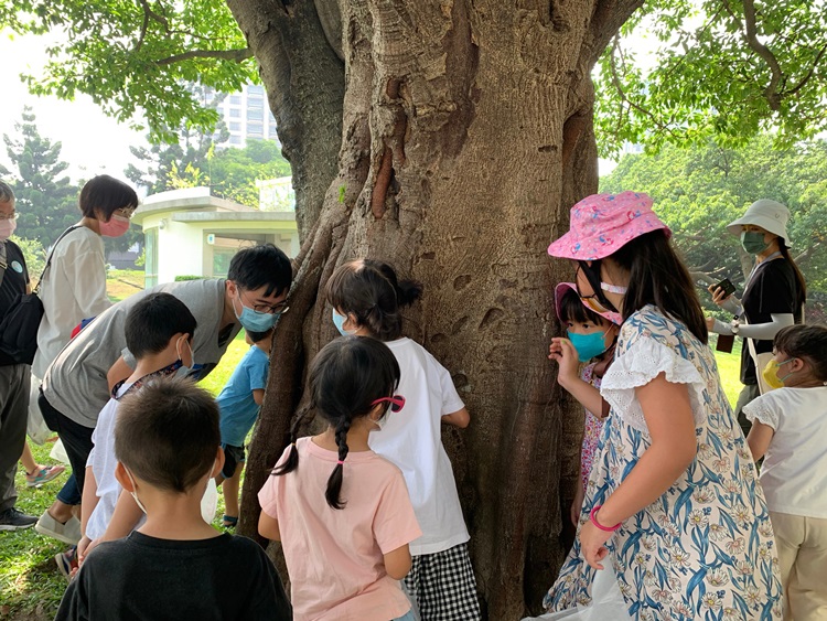 幼兒園：與植物做朋友(10/2)-圖片159