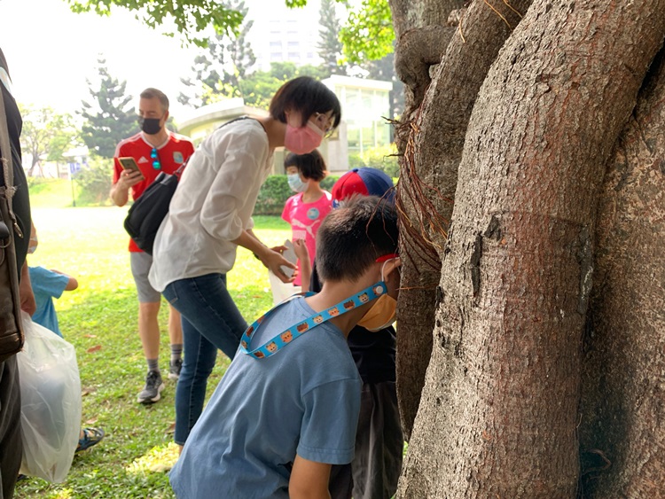 幼兒園：與植物做朋友(10/2)-圖片164