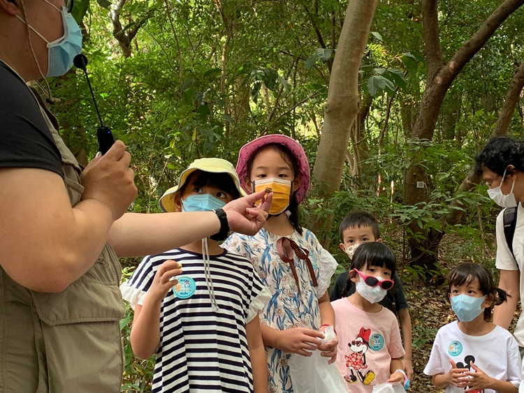 幼兒園：與植物做朋友(10/2)-圖片177