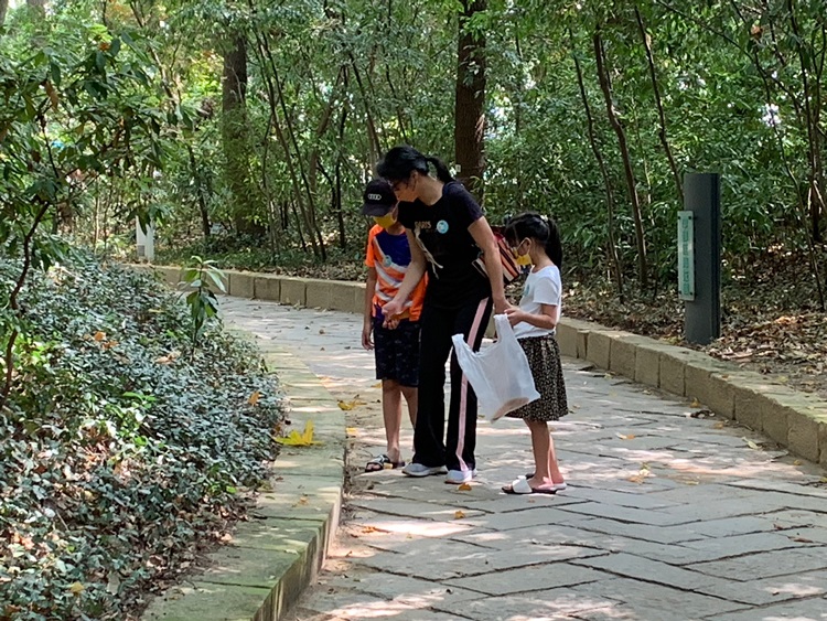 幼兒園：與植物做朋友(10/2)-圖片178