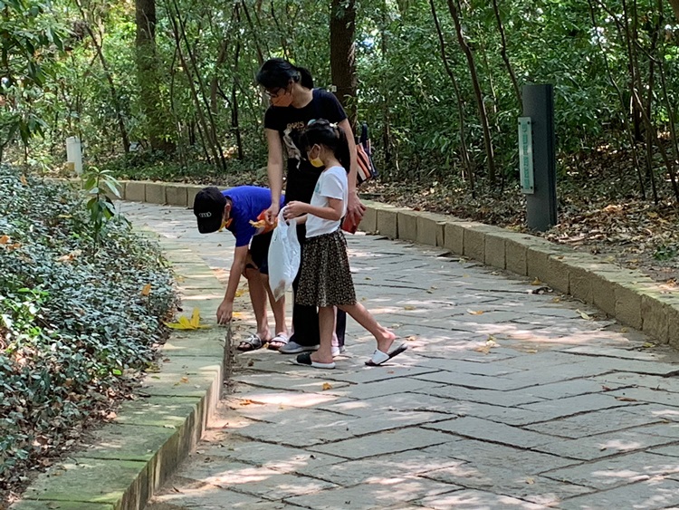 幼兒園：與植物做朋友(10/2)-圖片179