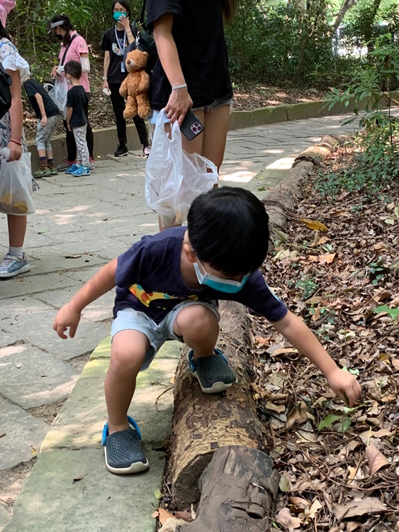 幼兒園：與植物做朋友(10/2)-圖片182