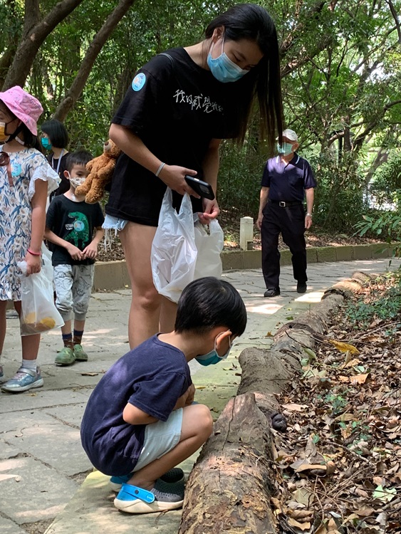幼兒園：與植物做朋友(10/2)-圖片183
