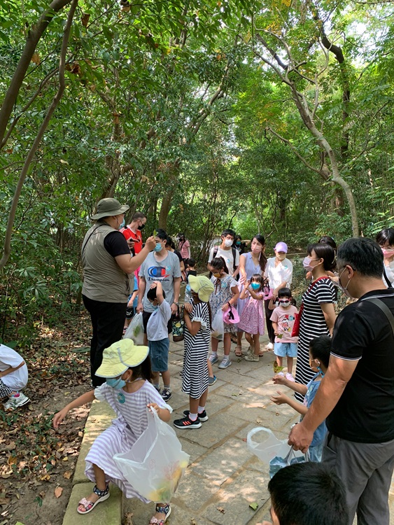 幼兒園：與植物做朋友(10/2)-圖片186