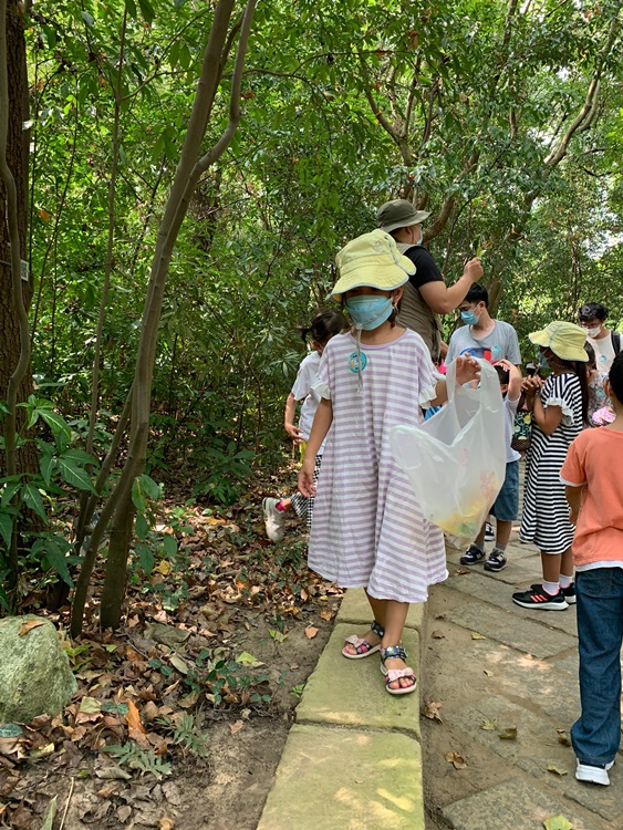 幼兒園：與植物做朋友(10/2)-圖片187