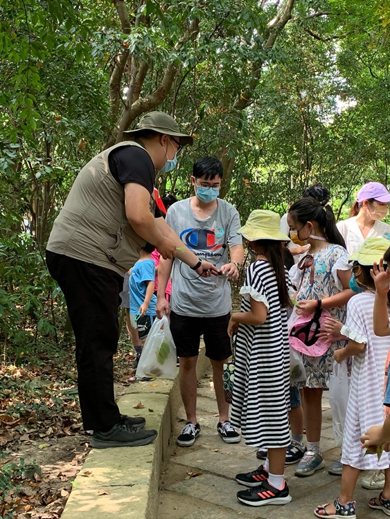 幼兒園：與植物做朋友(10/2)-圖片188