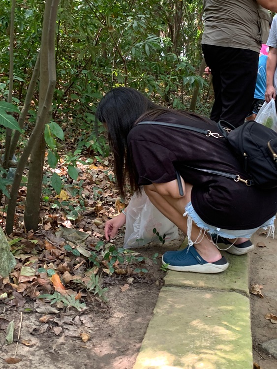 幼兒園：與植物做朋友(10/2)-圖片189