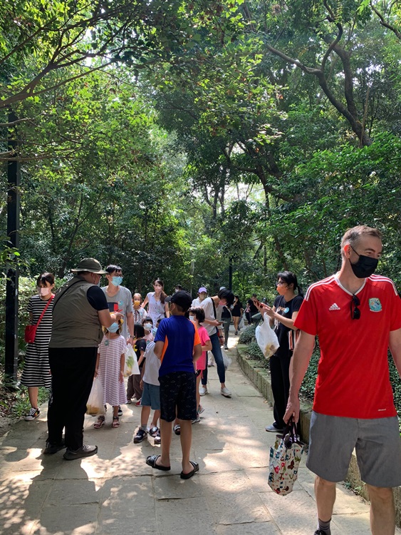 幼兒園：與植物做朋友(10/2)-圖片193