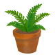植物活體標本