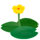 植物