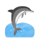 水下與海洋